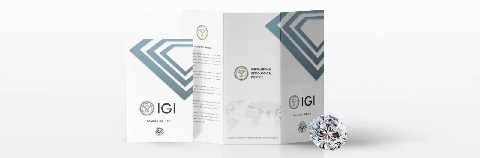 IGI CERTIFIED 2 Ct Real Lab Grown Diamond Studs Earrings in 14k White Gold EF/VS