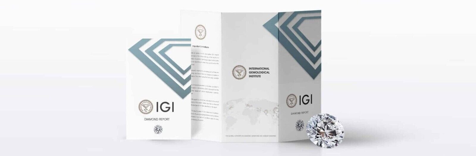 IGI Certified Diamond 14k Gold D VS1 4 Carat Round Basket Setting Studs