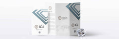 IGI Certified Diamond 14k Gold D VS1 4 Carat Round Basket Setting Studs