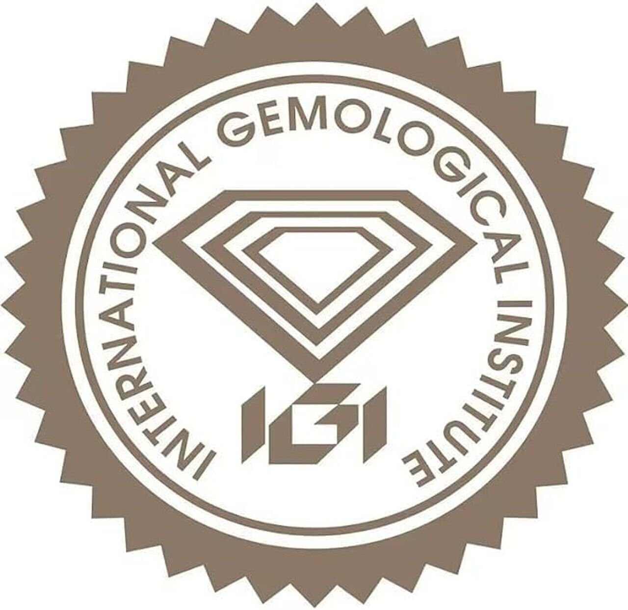 Lab Grown 1 Ct Round Cut E Color VS1 Clarity STONE IGI Certified CVD DIAMOND
