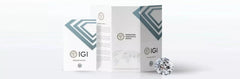 4 CT Lab Grown CVD Diamond E VS1 IGI Certified Stud Her Earrings 14K White Gold