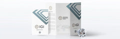 IGI CERTIFIED 3 Ct Real Lab Grown Diamond Studs Earrings 14k White Gold E VVS2