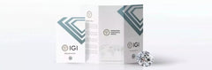 IGI Certified 3.00 Carat E VVS2 Lab Grown Diamond Studs 14k Gold Push Back