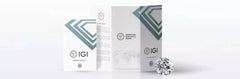 3.00 Carat Emerald Cut E VS1 Lab Grown Diamond Stud Earrings 14K White Gold IGI