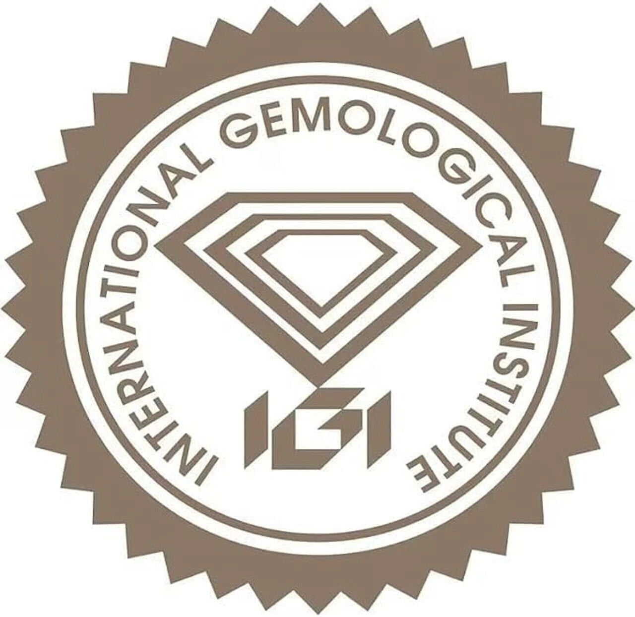 IGI Certified 2.00-5.00 CT E VS1 Lab Grown Oval Cut Diamond Engagement Ring 14k